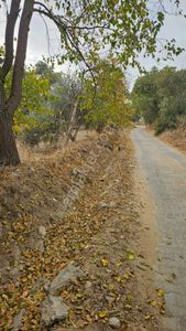 Arsa-Tarla