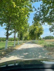 Arsa-Tarla