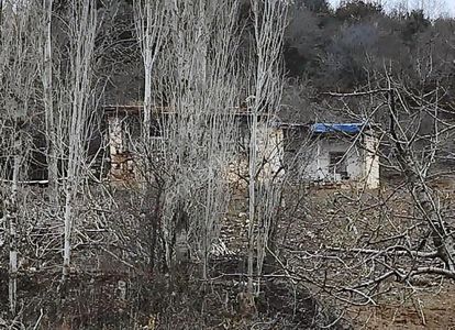 Arsa-Bağ & Bahçe