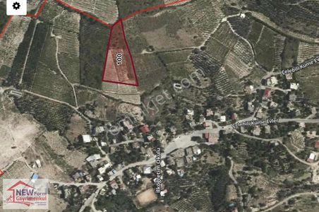 Arsa-Tarla