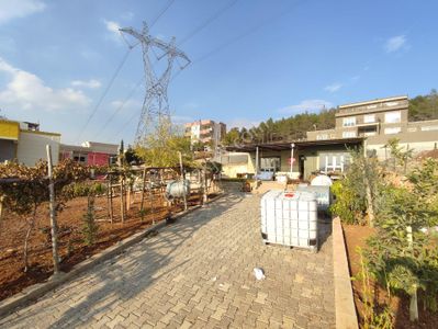 Arsa-Bağ & Bahçe