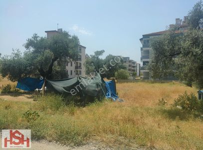 Arsa-Konut İmarlı