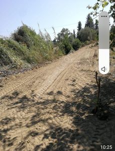 Arsa-Konut İmarlı