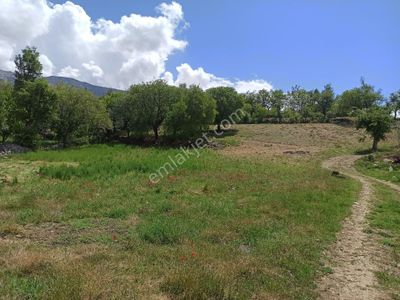 Arsa-Tarla