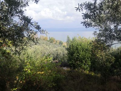 Arsa-Zeytinlik