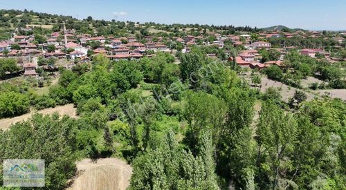 Arsa-Bağ & Bahçe