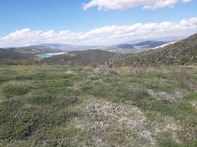 Arsa-Tarla