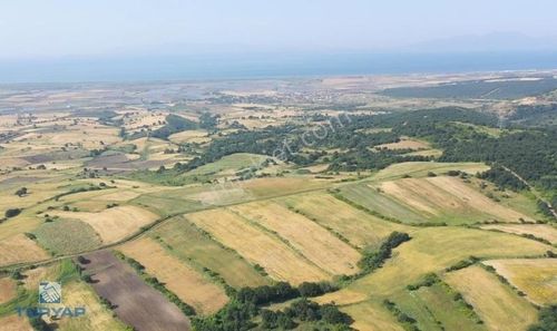 Arsa-Tarla