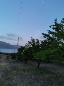 Arsa-Tarla