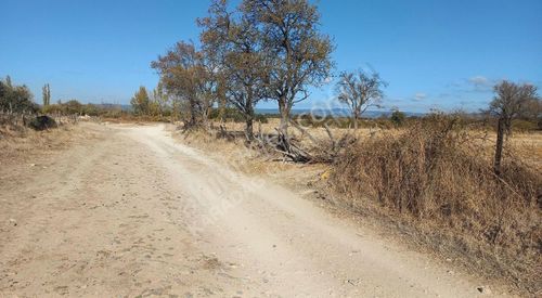 Arsa-Tarla