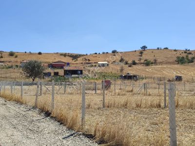 Arsa-Bağ & Bahçe