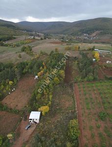 Arsa-Tarla