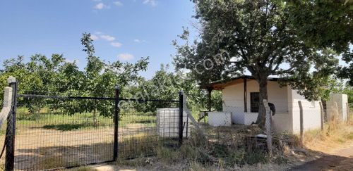 Arsa-Bağ & Bahçe