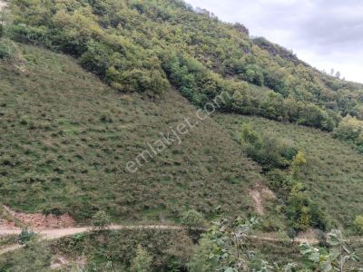 Arsa-Bağ & Bahçe