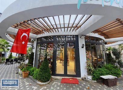 İşyeri-Kafe & Bar