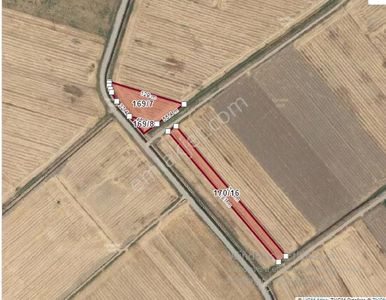 Arsa-Tarla