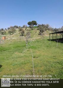 Arsa-Bağ & Bahçe