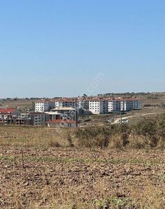 Arsa-Tarla