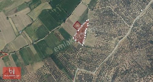 Arsa-Tarla