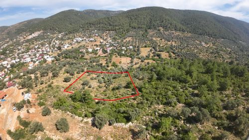 Arsa-Konut İmarlı