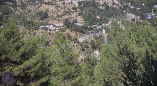Arsa-Bağ & Bahçe