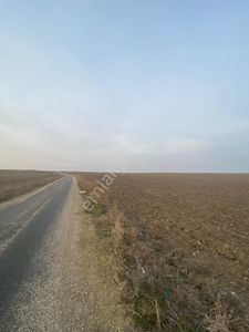 Arsa-Tarla
