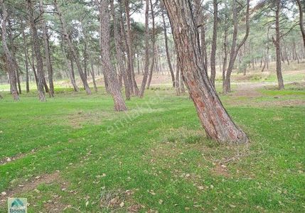Arsa-Tarla