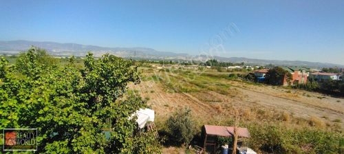 Arsa-Tarla
