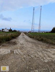 Arsa-Tarla