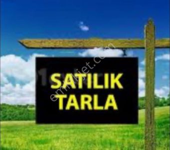 Arsa-Tarla