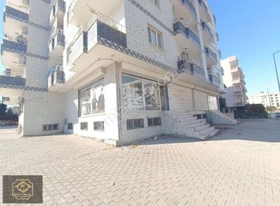 İşyeri-Dükkan & Mağaza