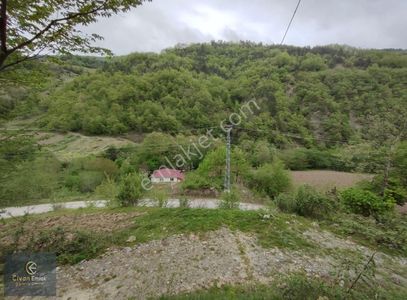 Arsa-Tarla
