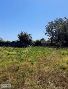 Arsa-Konut İmarlı