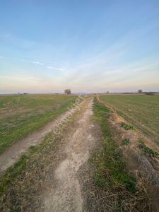 Arsa-Tarla