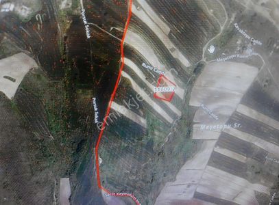 Arsa-Depo, Antrepo İzinli
