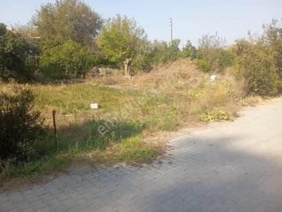 Arsa-Konut İmarlı