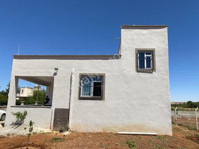 Arsa-Bağ & Bahçe