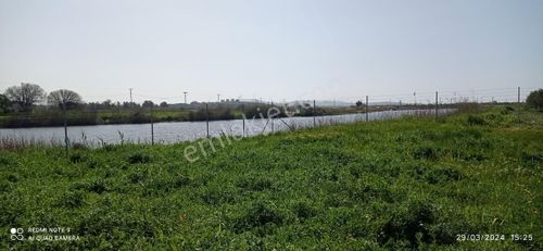 Arsa-Bağ & Bahçe