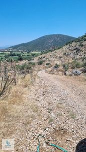 Arsa-Konut İmarlı