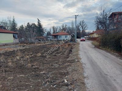 Arsa-Konut İmarlı