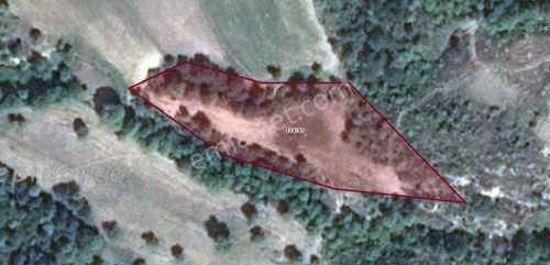 Arsa-Tarla