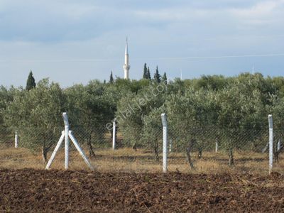Arsa-Tarla