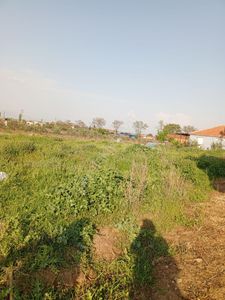 Arsa-Tarla