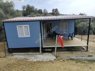 Arsa-Zeytinlik