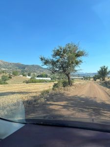 Arsa-Tarla
