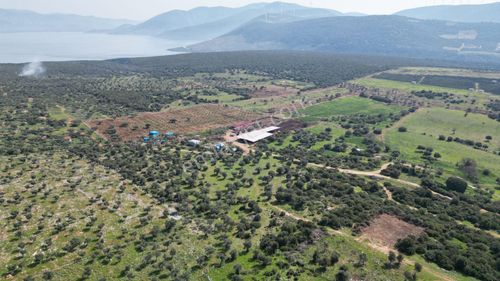 Arsa-Konut İmarlı