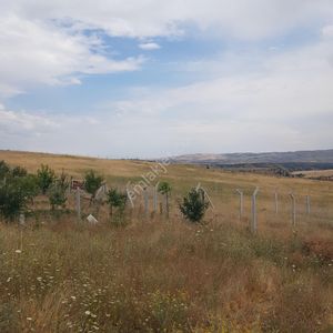 Arsa-Konut İmarlı