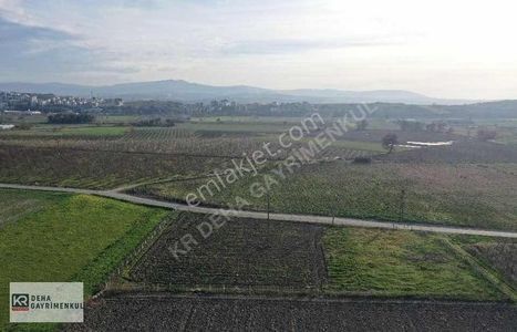 Arsa-Depo, Antrepo İzinli