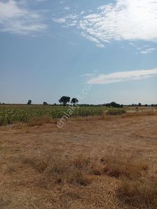 Arsa-Tarla