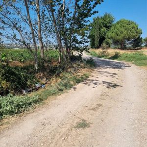 Arsa-Tarla